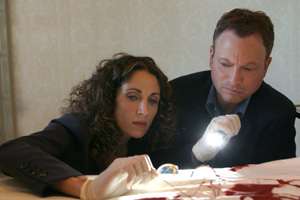 CSI: NY   Die komplette Season 1 [6 DVDs]: .de: Gary Sinise 