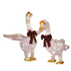   and 26 in. LED Acrylic Geese (Set of 2) TY174 1011 