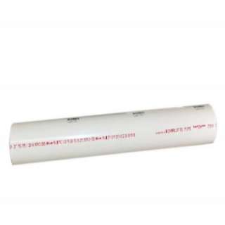 Charlotte Pipe 3/4 In. X 2 Ft. PVC Schedule 40 Plain End Pipe PVC 