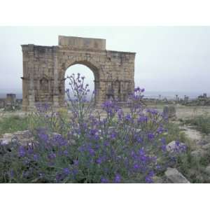 Ruins of Triumphal Arch in Ancient Roman city, Morocco Photographic 