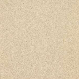  Armstrong Medintech Homogeneous Brushed Sand Vinyl 