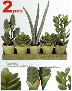   bidding on: TWO 16 Pre Potted Artificial Succulent Aloe Mixed Plants