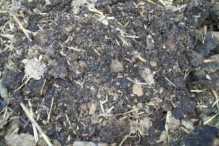Aged~Poultry~Chicken~Manure~Compost~Fertilizer~13lbs~  