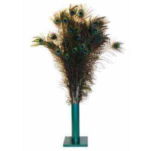    Natural Peacock Feather Cat Toy  Pet Supplies