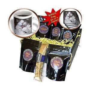 Beverly Turner Photography   Grooming Cat   Coffee Gift Baskets 