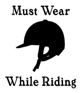 Horse Riding Helmet Sign Decal Sticker U CHOOSE COLOR!  