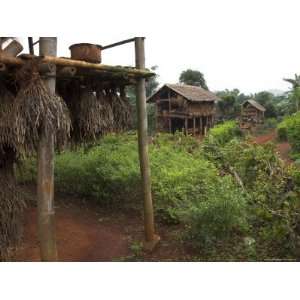  View of Village with Typical Bamboo Houses and Drying Peas 