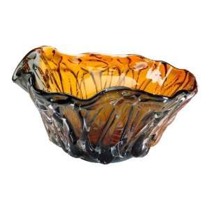  Duo Art Glass Bowl [Kitchen]