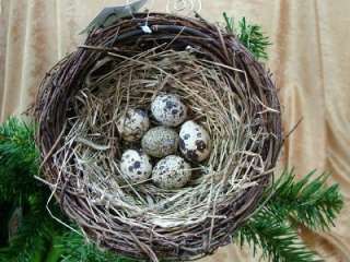 New Midwest Large 6 Birds Nest Eggs Bird Watching Christmas Tree 