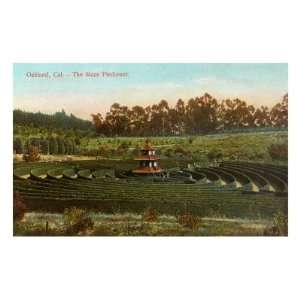  Piedmont Maze, Oakland, California Premium Poster Print 