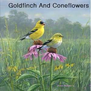   Goldfinch Single Design Microfiber Cleaning Cloths