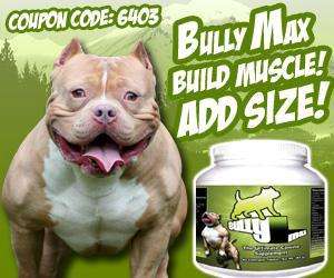 Bully Max Vitamin & Supplement Pit Bull Dogs Pills  
