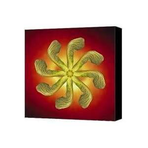  Maple tree seed pinwheel   red yellow background Canvas 