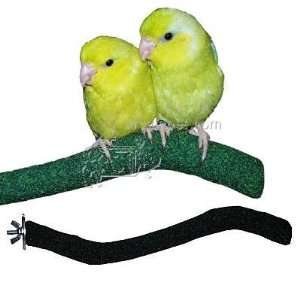  Sandy Manzanita Bird Perch Mini: Pet Supplies