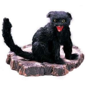   By Sunstar Industries Scary Black Cat Decoration: Everything Else
