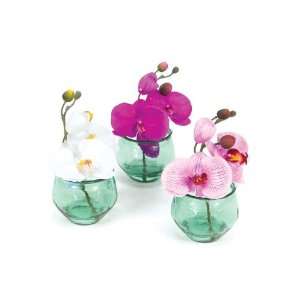   of 6 Sweet Spring Vibrant Asian Orchid Silk Flowers in Glass Vases 6