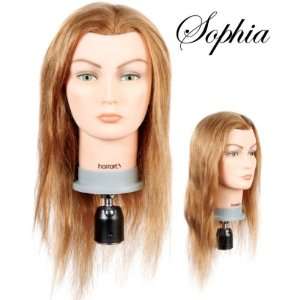  Hairart 14 Hair Sophia Deluxe Mannequin   43 007: Arts 