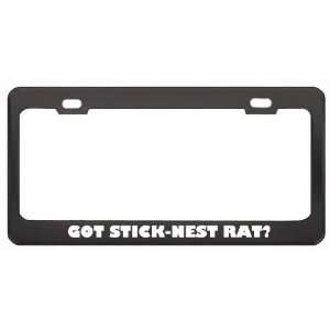  Got Stick Nest Rat? Animals Pets Black Metal License Plate 