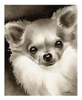 LONG HAIRED CHIHUAHUA Dog Painting ART LARGE Signed DJR  